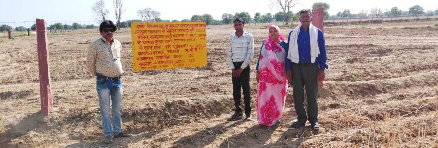 तारबंदी योजना से किसानों को फसल सुरक्षा में मिल रही मजबूती 60 प्रतिशत तक अनुदान का प्रावधान
