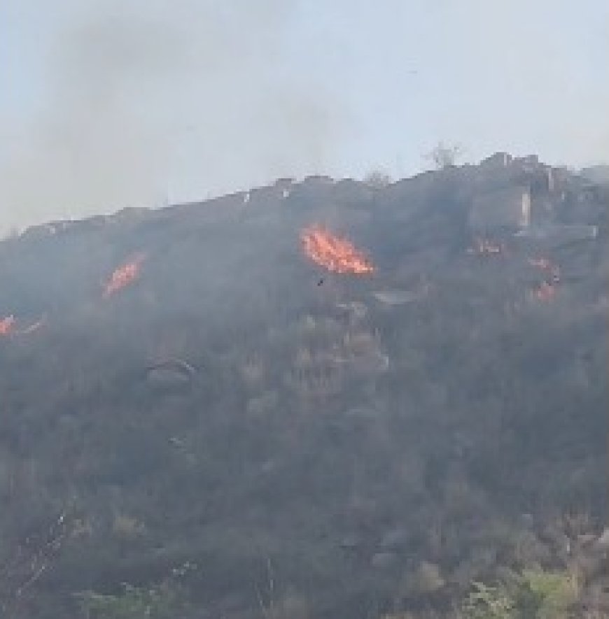 अन्तापाडा की पहाड़ियों में लगी भीषण आग; वन विभाग और ग्रामीणों ने पाया काबू, वन संपदा को नुकसान
