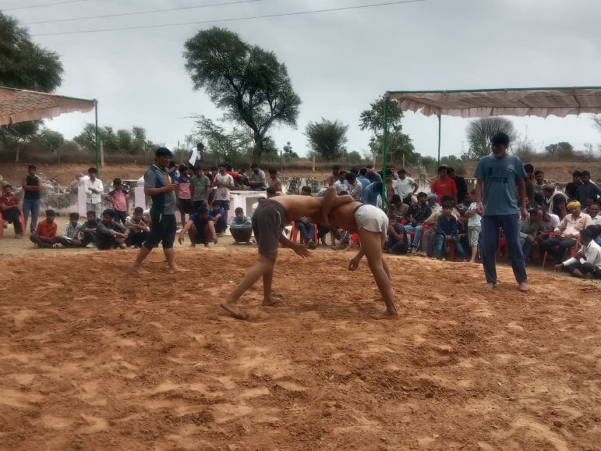 पापड़ा में बालाजी महाराज के मंदिर प्रांगण में हुआ विशाल भजन संध्या का आयोजन; महिला एवं पुरुष पहलवानों ने कुश्ती दंगल में दिखाए दांव पेंच