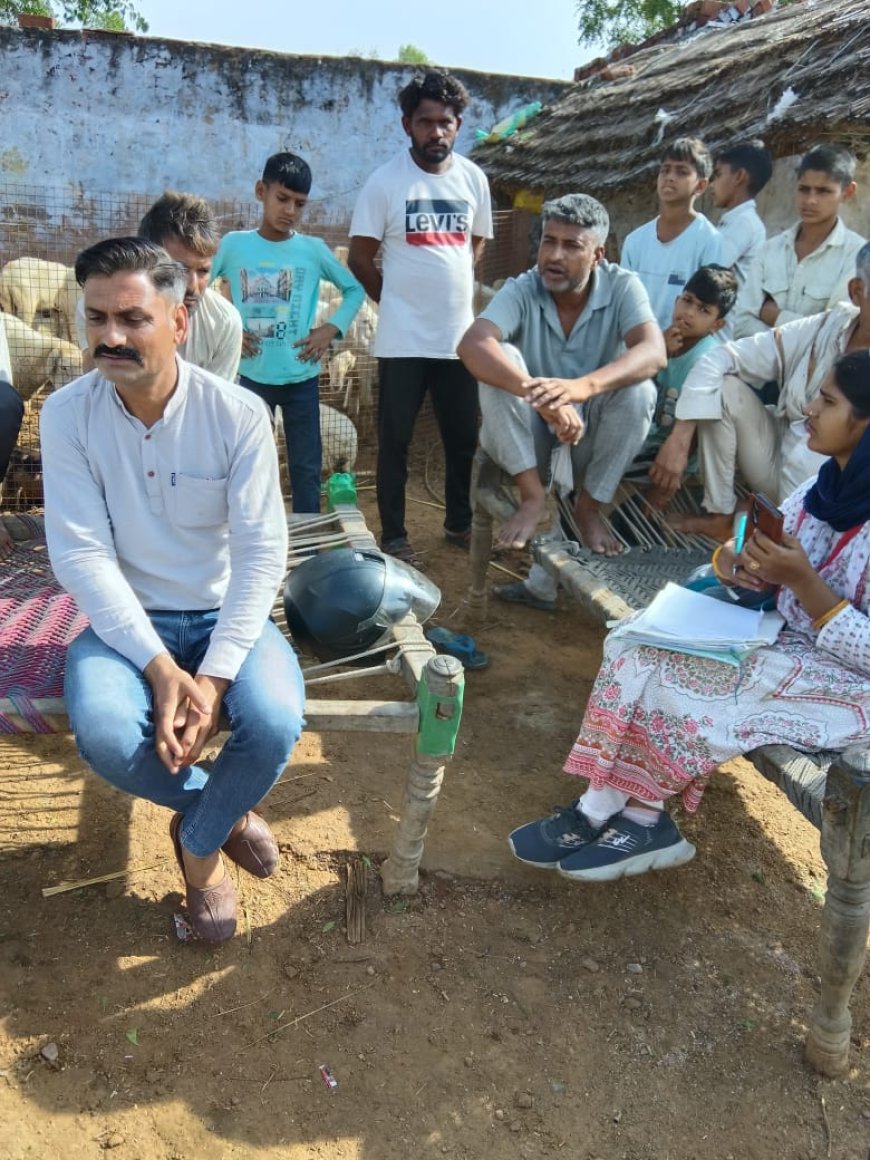गोविंदगढ़ में तूफान से 18 भेड़ों की मौतः बाड़े की दीवार गिरने से मलबे में दबीं, पशुपालक को भारी नुकसान  एक्सीडेंट