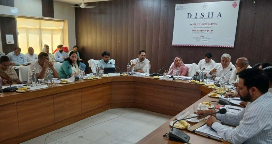जिला विकास समन्वय और निगरानी समिति (दिशा) की बैठक; जनहित की समस्याओं का समय पर निराकरण कर पात्रजनों को लाभान्वित करें- सांसद