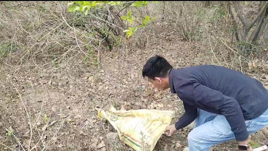 घर में दिखा अद्भुत जीवआदर्श विहार में सुरक्षित रेस्क्यु कर जंगल में छोड़ा