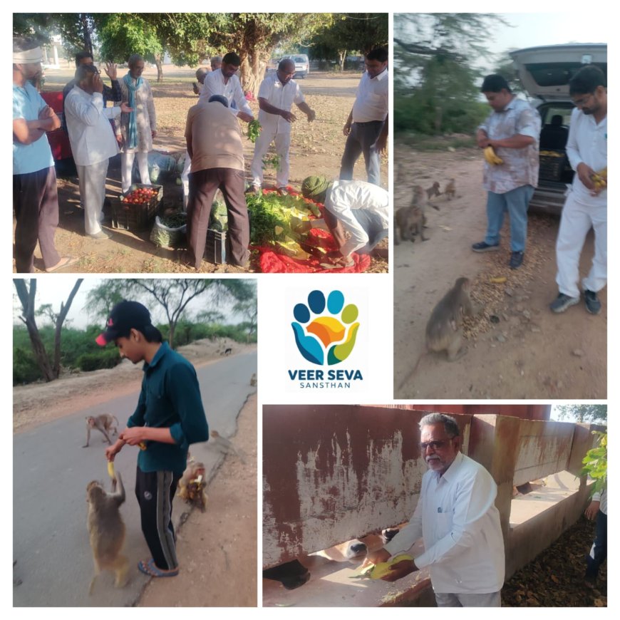 विश्व नवकार महामंत्र दिवस 2.0 के उपलक्ष्य में वीर सेवा संस्थान  ने किया जीवदया कार्य