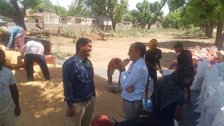 उप तहसीलदार ने किया गेहूं खरीद केंद्र का औचक निरीक्षण; अब तक 7588 क्विंटल गेहूं की हुई तुलाई