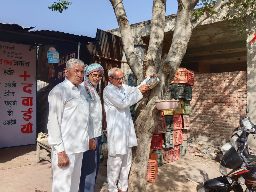 चिलचिलाती धूप में पक्षियों के लिए 'संबल': समाजसेवी मदनलाल भावरिया ने झडाया बजरंग धाम के समीप लगाए परिंडे