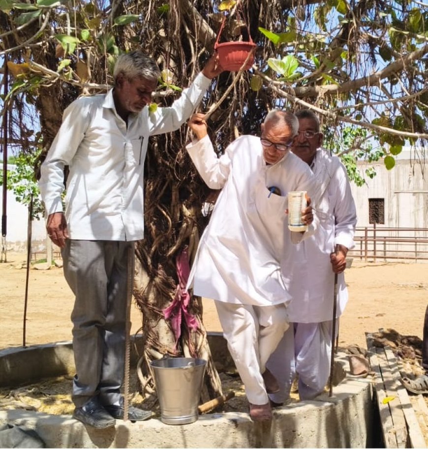 ओम शिव गौशाला पचलंगी में जीव सेवा का संकल्प; गौ-स्वामणी के साथ पक्षियों के लिए लगाए परिंडे