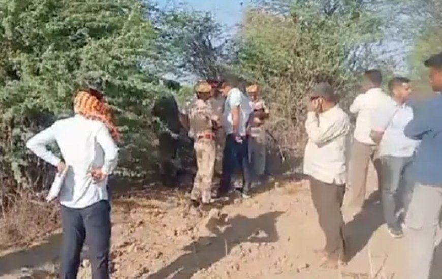 पाली: जाडन टोल नाके के पास मिला 10 दिन पुराना शव, सिर का हिस्सा क्षत-विक्षत; शिनाख्त के प्रयास जारी