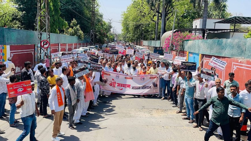 भीलवाड़ा में गौ भक्ति का ज्वार: हजारों श्रद्धालुओं ने निकाली संकीर्तन रैली, संतों के सानिध्य में 11 बजे गूँजा ‘जय गौ माता’ का उद्घोष