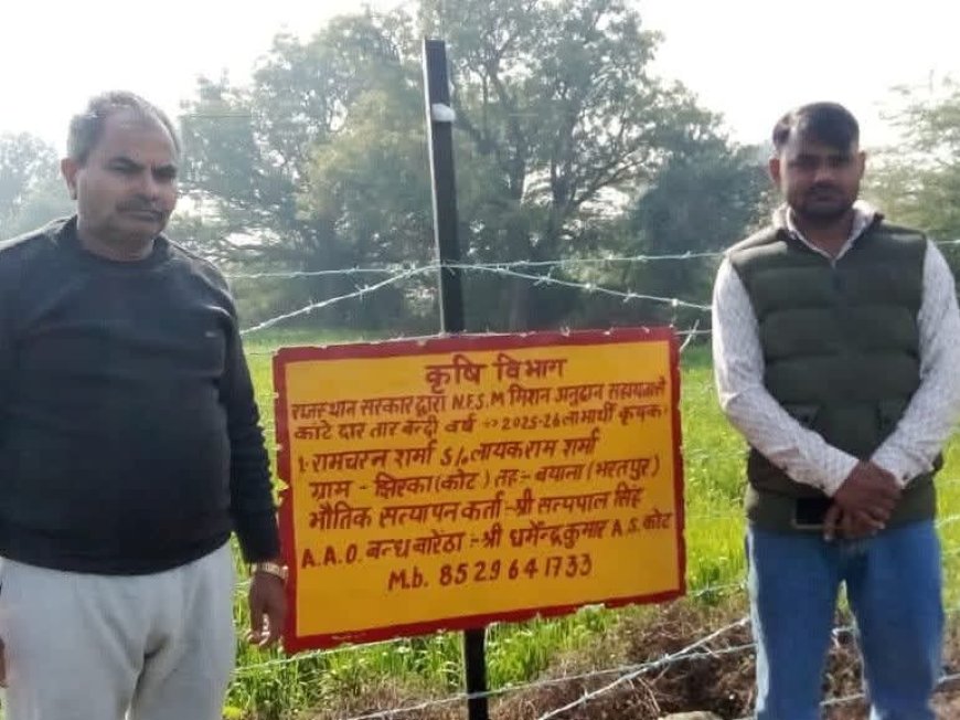 बयाना के किसानों के लिए खुशखबरी: कृषि विभाग ने दोबारा खोले अनुदान योजनाओं के पोर्टल, 'पहले आओ-पहले पाओ' के आधार पर मिलेगा लाभ