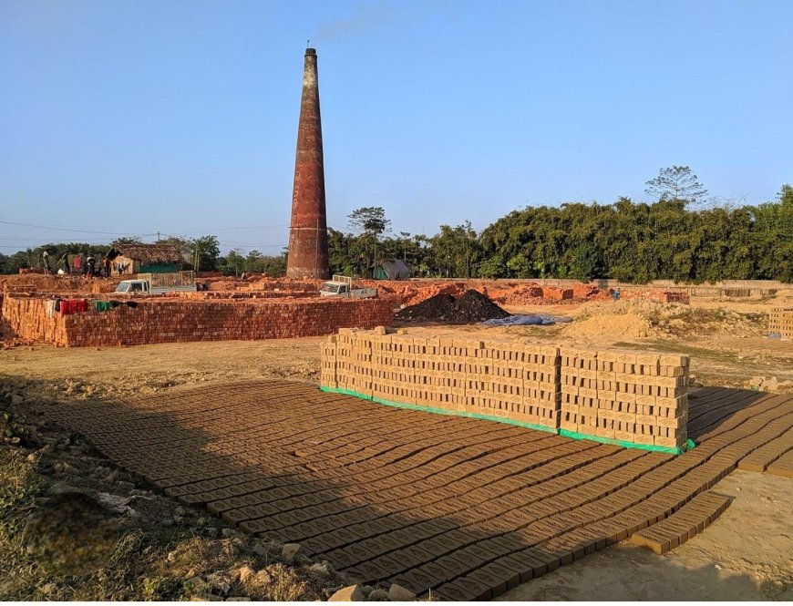 हाईकोर्ट से ईंट भट्टा संचालकों को बडी राहत; सरकार से 150 दिनों की रॉयल्टी वसूली पर हाईकोर्ट ने मांगा जवाब