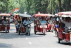 ई-रिक्शा के रेगुलेशन, हाईवे पर उनके चलने पर रोक लगाने की मांग पीआईएल पर हाईकोर्ट ने जारी किया नोटिस