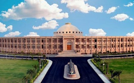 जोधपुर हाई कोर्ट ने निकायों में अधिकारियों को प्रशासक बनने पर लगाई रोक