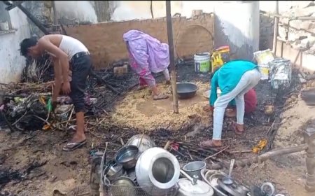 अनावड़ा गाँव में अज्ञात कारणो के चलते हुए छप्पर मे आग लगने से नकदी और घरेलू सामान जला