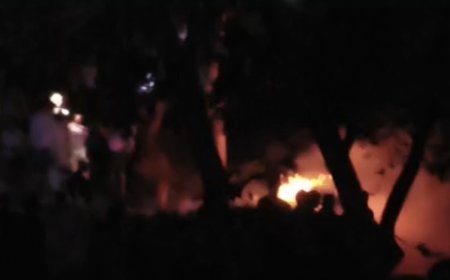 टोडानागर की पहाड़ियों में भीषण आग से प्राकृतिक संपदा को भारी नुकसान; ग्रामीणों और दमकल विभाग ने पाया काबू