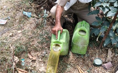 अवैध शराब के खिलाफ आबकारी विभाग का कड़ा प्रहार: भारी मात्रा में वॉश नष्ट, अवैध भट्टियां की गईं ध्वस्त