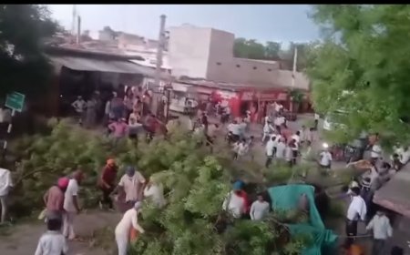 रामगढ़ के मिलकपुर में तेज आंधी का तांडव: कई पेड़ उखड़े, जनजीवन अस्त-व्यस्त