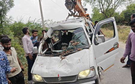 गाय को बचाने के प्रयास में अनियंत्रित होकर पलटी ईको कार, चालक गंभीर घायल