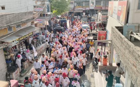 क्रिकेट महाकुंभ कोसेलाव ब्राम्हण समाज पांच गांव पट्टी उदघाटन मैच फीता कांटकर किया शुरू