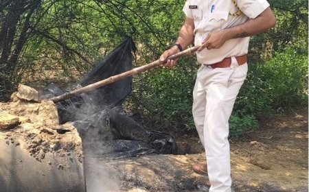 अवैध शराब के खिलाफ बड़ी कार्रवाई;  कुम्हेर के छापर मोहल्ला में 8000 लीटर वॉश नष्ट, 7 भट्टियां ध्वस्त