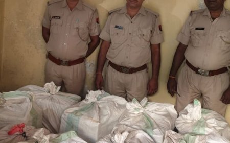 धौलपुर में अवैध अंग्रेजी शराब की 60 कार्टूनों से 720 बोतलें जब्त:अंतरराज्यीय गिरोह पर शक