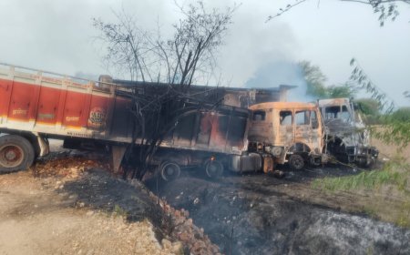 आवारा पशु को बचाने में डंपर-ट्रेलर की भिड़ंत, दोनों वाहनों में लगी आग