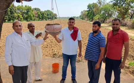 वन प्रेमियों ने पक्षियों को लगाए परिंडे,वन जीव बचाने का लिया संकल्प