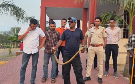 राजगढ़ थाना परिसर में मचा हड़कंप: मेस के पास निकला 8 फीट लंबा सांप, जुगनू तंबोली ने किया सुरक्षित रेस्क्यू