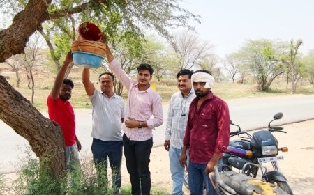 भीषण गर्मी में पक्षियों के लिए उमड़ी संवेदना: झड़ाया में लगाए गए परिंडे, नियमित जल सेवा का संकल्प