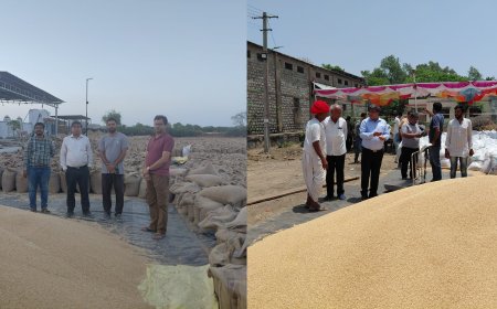पाली जिले के चारों MSP खरीद केन्द्रों पर गेहूं खरीद कार्य सुव्यवस्थित रूप से जारी, किसानों को मिल रहा त्वरित भुगतान एवं बेहतर सुविधाओं का लाभ