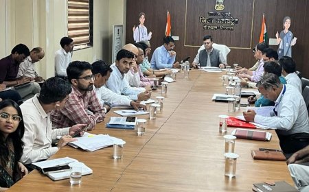 कलेक्टर ने साप्ताहिक समीक्षा बैठक की:पेंशन, बिजली, पानी, वैक्सीनेशन और जनगणना पर की चर्चा
