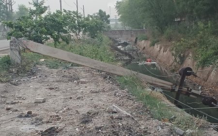 अलवर में प्रकृति का प्रकोप: तेज अंधड़ और बारिश ने मचाई तबाही; विधुत पोल गिरे और पेड धराशाई विधुत वितरण व्यवस्था ठप्प