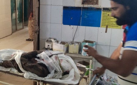 डीग: ट्रैक्टर से गिरकर व्यक्ति की मौत, भूसा डालकर लौटते समय हुआ हादसा