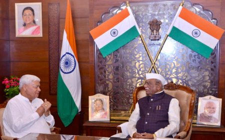 भीलवाड़ा सांसद दामोदर अग्रवाल ने राज्यपाल से की शिष्टाचार भेंट; क्षेत्र के विकास और संसदीय अनुभवों पर हुई चर्चा