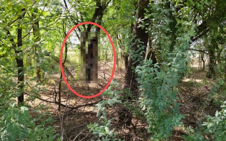 लक्ष्मणगढ़ में संदिग्ध परिस्थितियों में युवक का शव फंदे से लटका मिला; पुलिस और फॉरेंसिक टीम जांच में जुटी