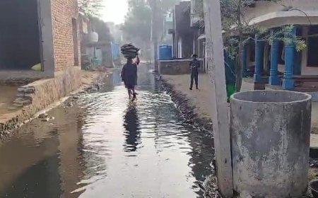 हरसाना के मालीबास में सड़क पर भरा गंदा पानी,बीमारियों का खतरा, राहगीर परेशान