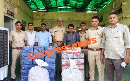 बड़ौदामेव पुलिस की बड़ी कार्रवाई: दिल्ली-मुंबई एक्सप्रेस-वे पर अवैध शराब से भरी i-20 जब्त, हरियाणा का तस्कर गिरफ्तार