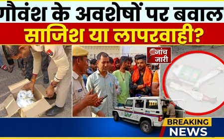 अलवर में एक बार फिर गौवंश के अवशेष मिलने से तनाव, जांच में जुटी पुलिस और FSL टीम