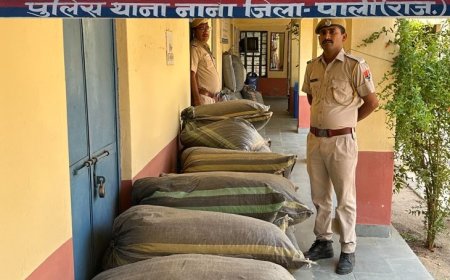 नाणा में फिल्मी अंदाज में 5 किलोमीटर तक पीछा कर दबोचा; टायर फटने के बाद भी भागते रहे तस्कर; 3 गाड़ियां और 774 किलो डोडा पोस्त जब्त!