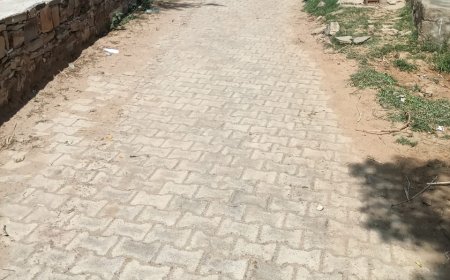स्वरूप सराय इंटरलॉकिंग विवाद गहराया, पीड़ित ने 25 लोगों पर लगाया ईंट उखाड़ने का आरोप; एसडीएम को शिकायत सौंपकर निष्पक्ष जांच व कार्रवाई की मांग की