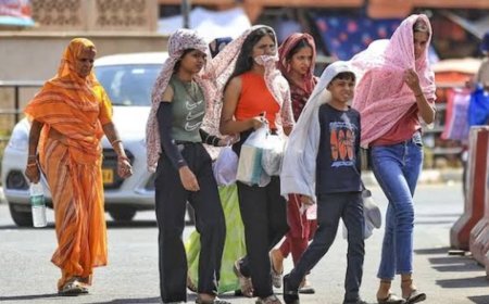 भीषण गर्मी से लोग हुए परेशान, नौतपा से पहले ही पारा पहुंचा 44 डिग्री