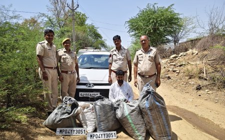 नाना थाना पुलिस का मादक पदार्थ तस्करों पर बड़ा प्रहार, लगातार तीसरे दिन डोडा पोस्त से भरी दो कारें जब्त
