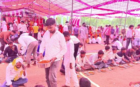 गाँव ढहरींन में श्रीमद्भागवत कथा का भव्य समापन, विशाल भंडारे में उमड़े श्रद्धालु; दाँतवाड़ धाम की निकाली परिक्रमा
