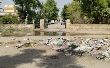 कोसेलाव में राजकीय सोनीगरा स्वास्थ्य चिकित्सालय के सामने कचरे के ढेर लोगों की सफाई व्यवस्था को दुरुस्त करने की मांग