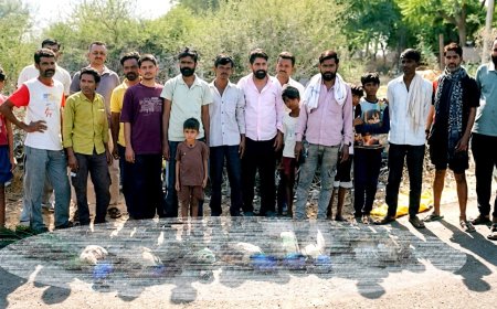 मकराना क्षेत्र में शिकारियों का तांडव: जहरीला दाना देकर 20-25 राष्ट्रीय पक्षी मोरों की निर्मम हत्या, ग्रामीणों में भारी आक्रोश