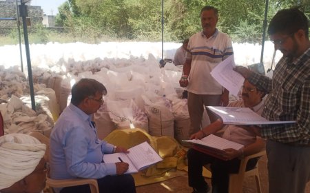 तखतगढ़ MSP खरीद केंद्र पर व्यवस्थाएं उत्कृष्ट, मंडल प्रबंधक ने किया औचक निरीक्षण;  किसानों ने जताया संतोष, 10.64 करोड़ रुपये का भुगतान जारी