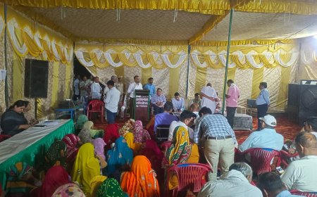 जटियाणा में अवैध शराब बेचने की शिकायत पर, जिला कलेक्टर ने कार्रवाई के दिए सख्त निर्देश