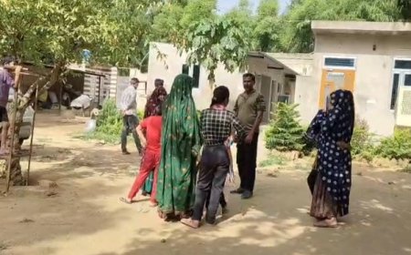 राजगढ़ मे घर के अंदर बैठे स्वान को बघेरे ने बनाया शिकार आधा शरीर जंगल में ले भागा