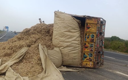 दिल्ली-मुंबई एक्सप्रेसवे पर तूडी से भरा ट्रक पलटा जनहानि बची