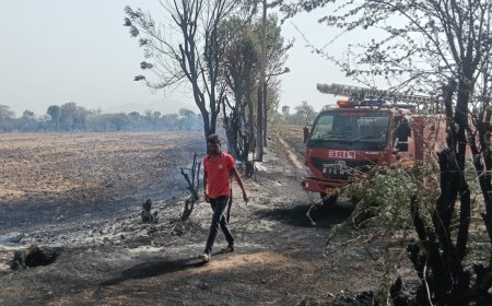 खेतों में अज्ञात कारणों से लगी आग तीन दमकलों ने घंटों बाद आग पर पाया काबू