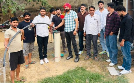 बढ़ते तापमान और गहराते जल संकट से निजात दिलाने के लिए ग्राम पंचायत की बड़ी पहल